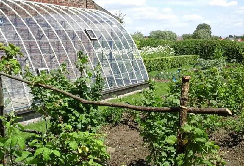 B&b De Hulst