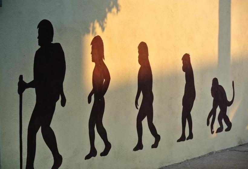 Bermejo Hostel & Backpackers