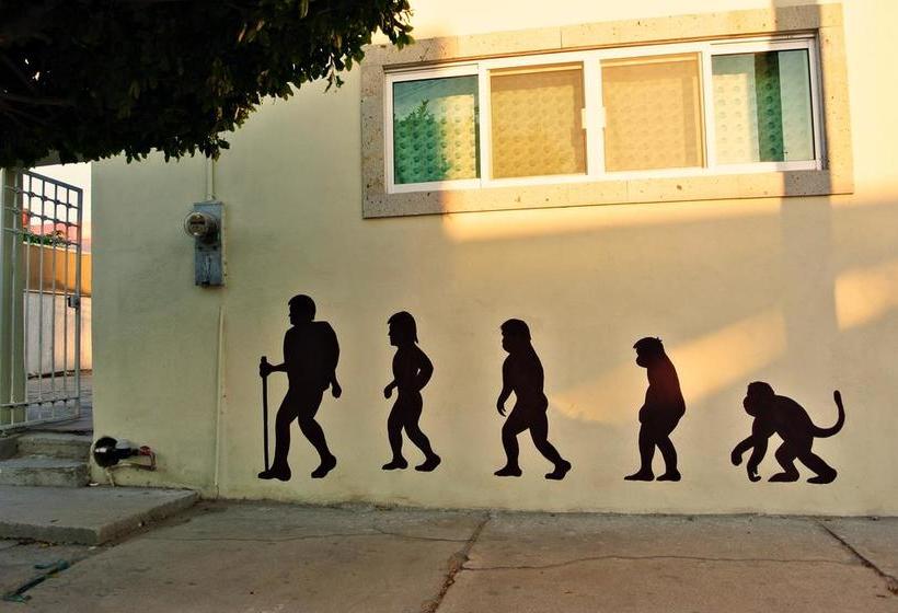 Bermejo Hostel & Backpackers