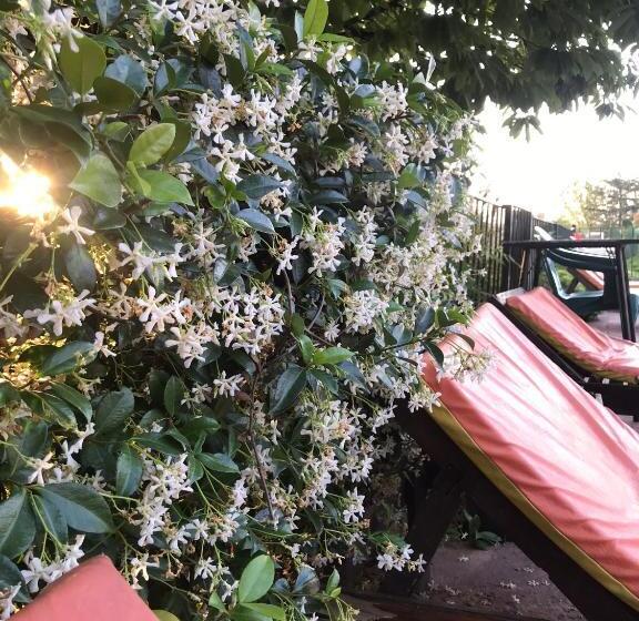 فندق Descanso Las Tres Marias Apart