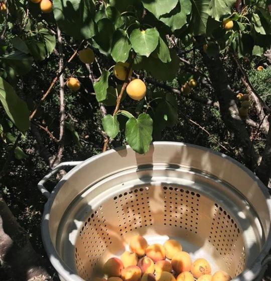 فندق Descanso Las Tres Marias Apart