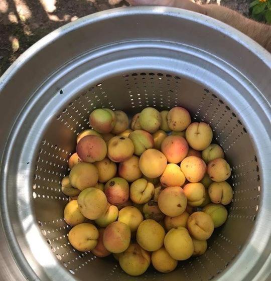 فندق Descanso Las Tres Marias Apart