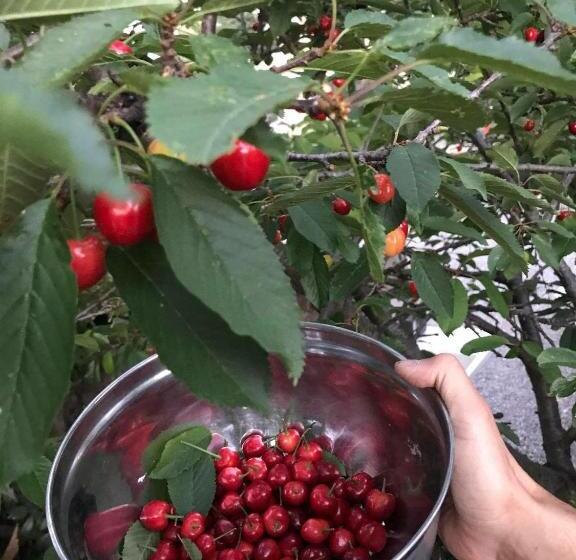 فندق Descanso Las Tres Marias Apart