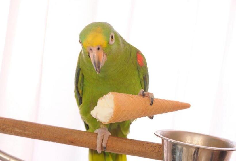 בית מלון כפרי Tritone