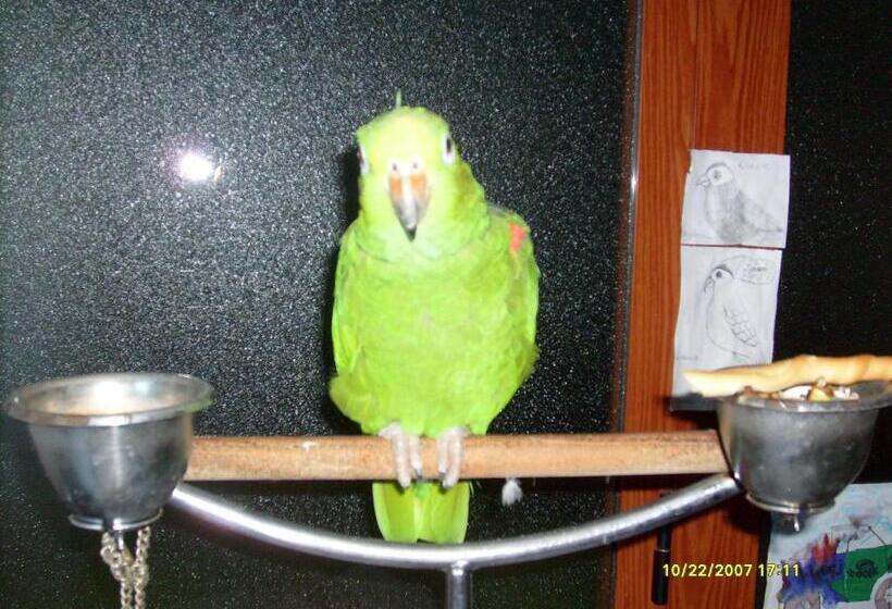 בית מלון כפרי Tritone