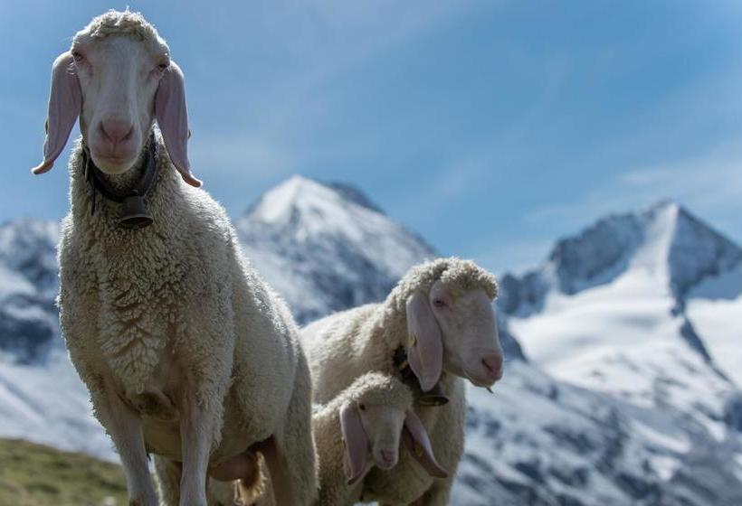 Smarthotel Bergresidenz Adults Only