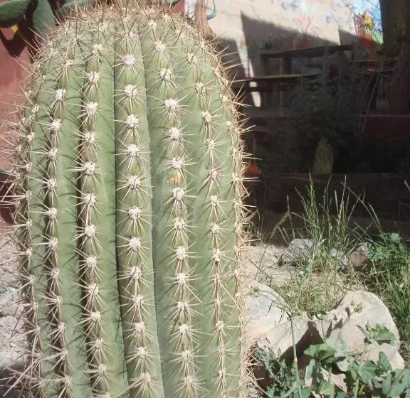 Tierra Andina Hostel