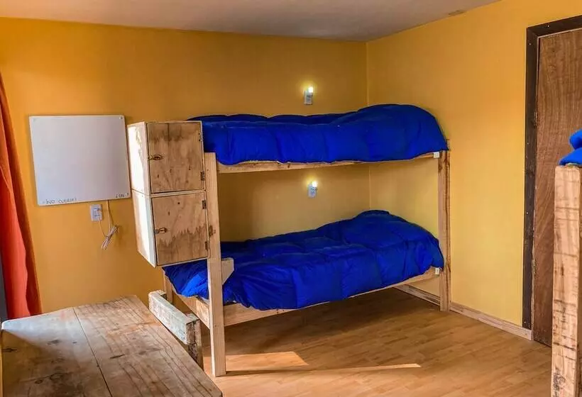 Willhouse Hostel