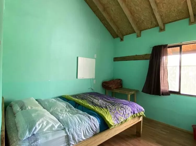 Willhouse Hostel