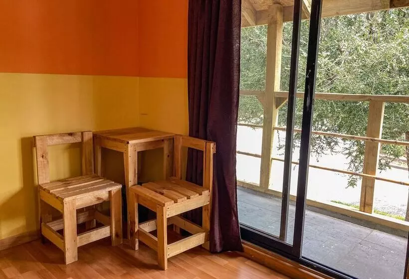Willhouse Hostel