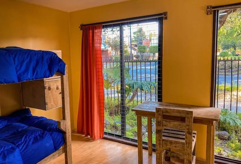 Willhouse Hostel