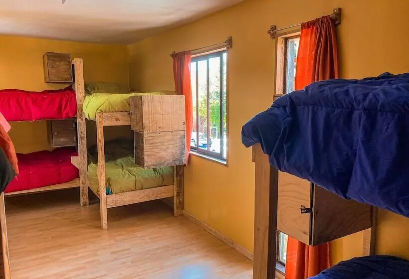 Willhouse Hostel