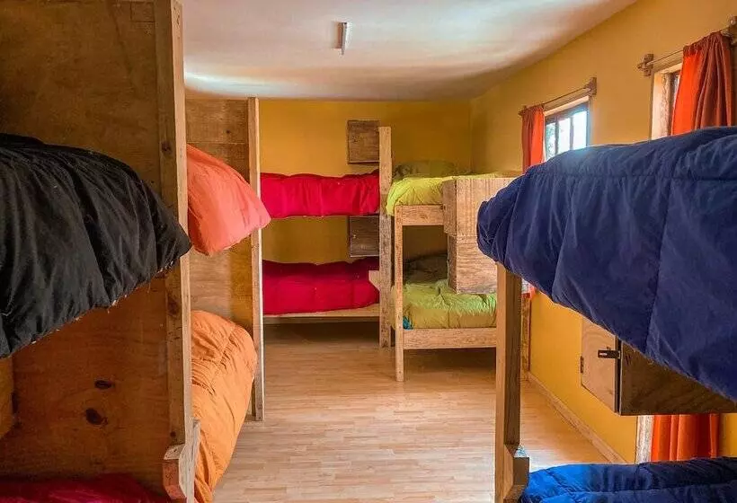 Willhouse Hostel
