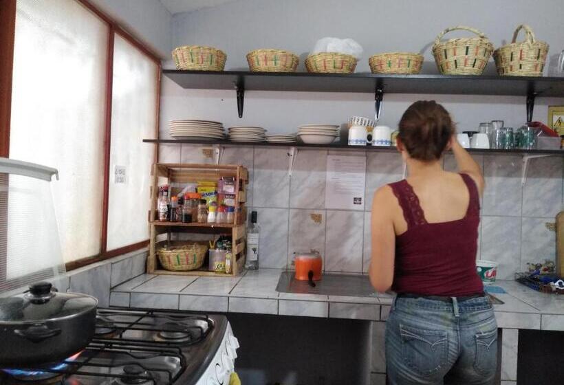 هاستل Estancia 311 Backpackers