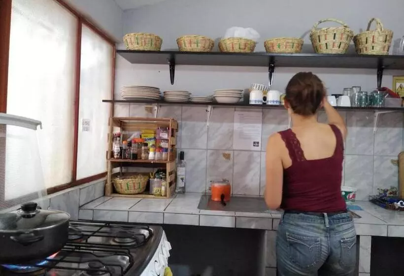 هاستل Estancia 311 Backpackers