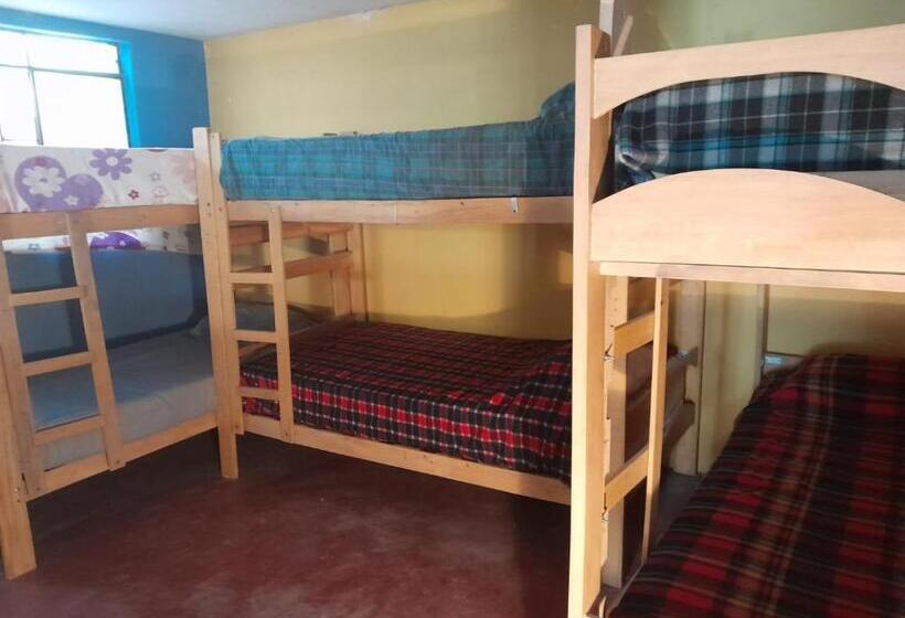 هاستل Estancia 311 Backpackers