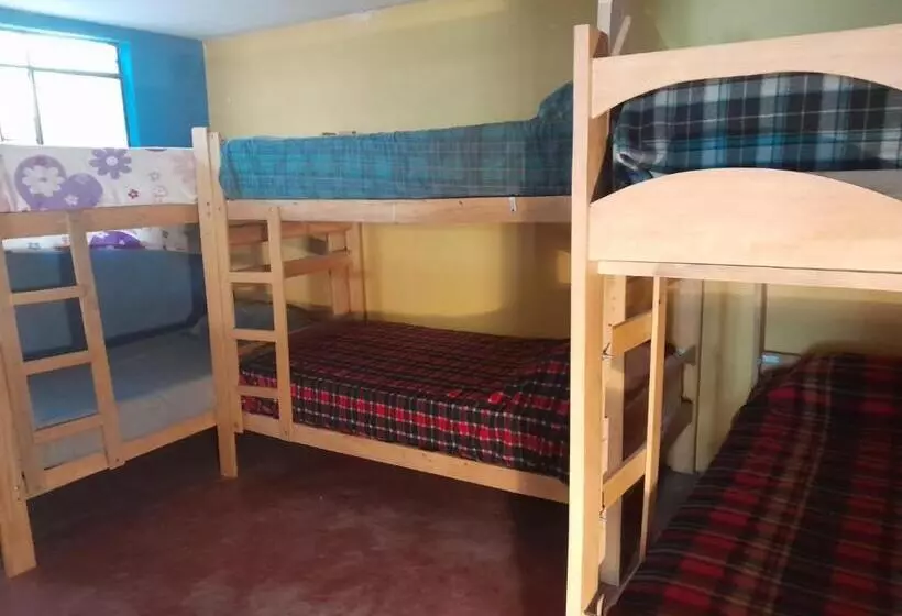 هاستل Estancia 311 Backpackers