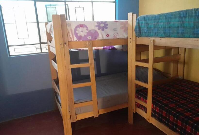 هاستل Estancia 311 Backpackers