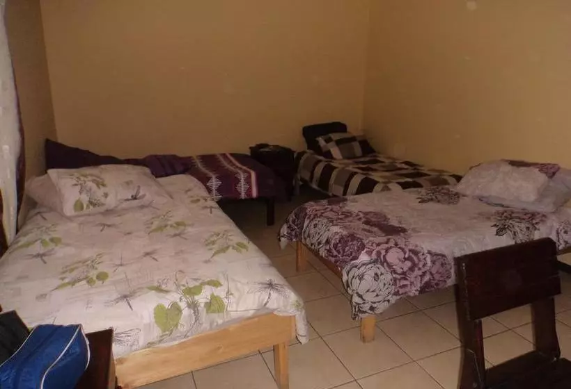 هاستل Skippers Backpackers Cc