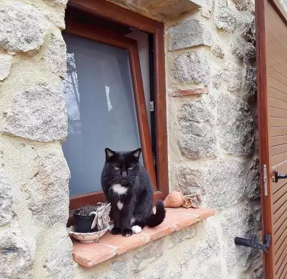 B&b Podere Legnotorto