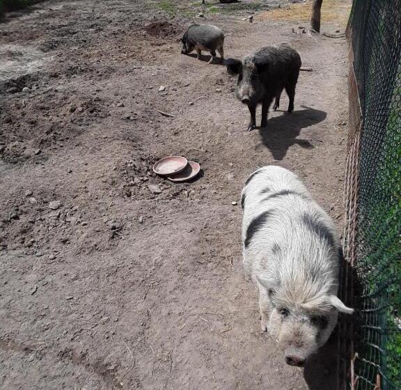 B&b Podere Legnotorto