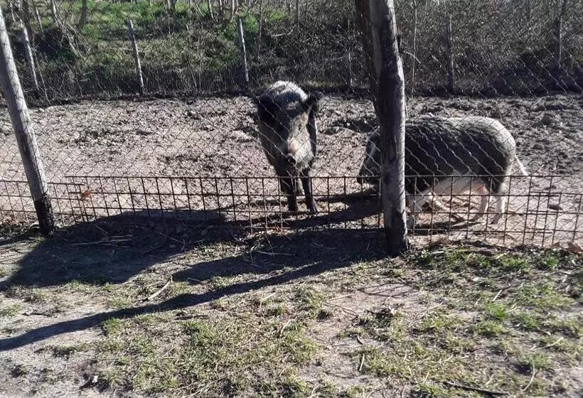 B&b Podere Legnotorto