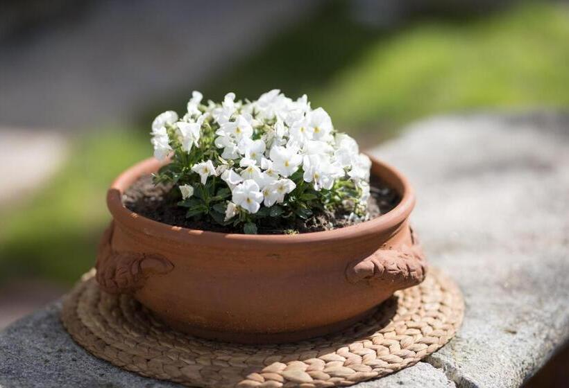 B&b Podere Legnotorto