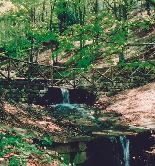 Aamiaismajoitus (B&B) Dolmen House