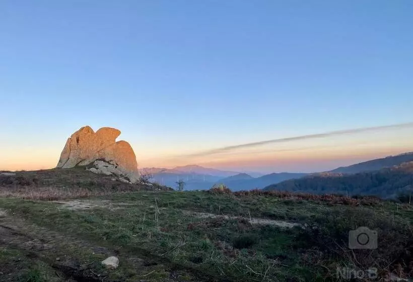 Aamiaismajoitus (B&B) Dolmen House