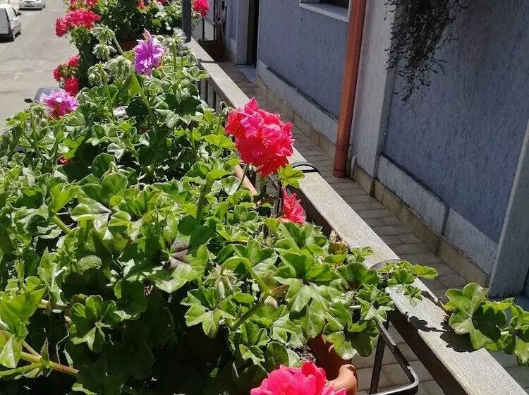 Aamiaismajoitus (B&B) Donna Melina