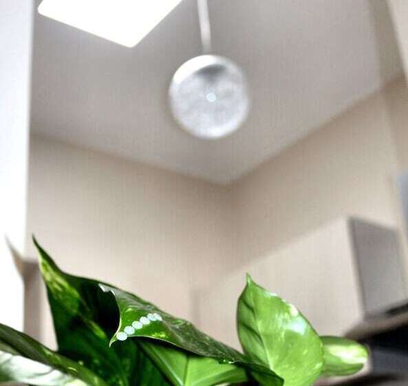 Bed and Breakfast Donna Melina