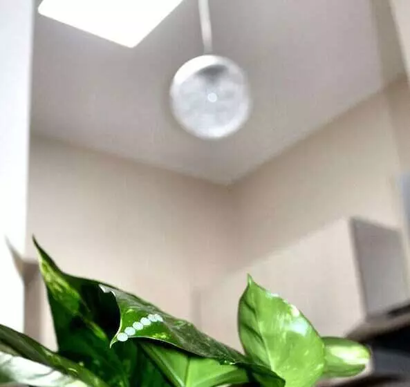 Aamiaismajoitus (B&B) Donna Melina