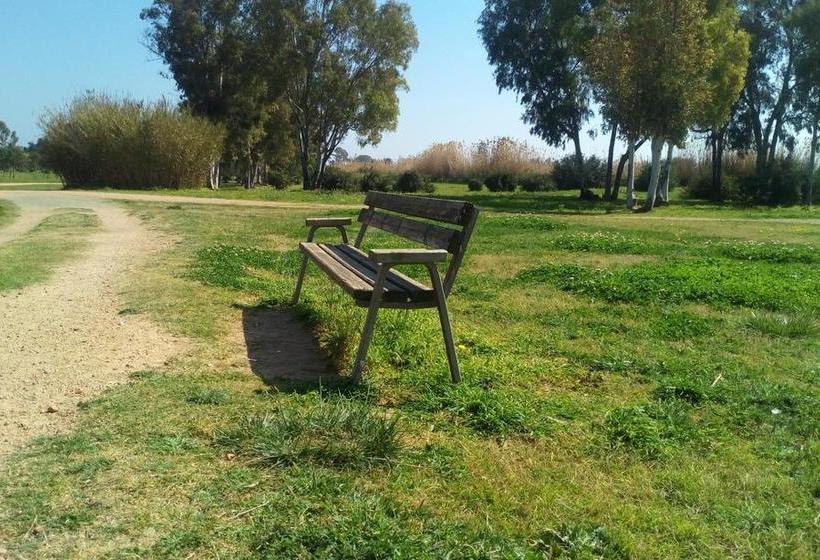 住宿加早餐  Gottardo