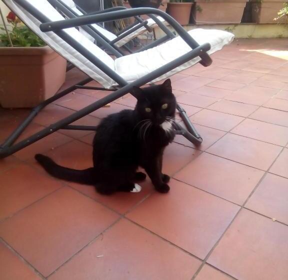 Bed And Breakfast La Terrazza