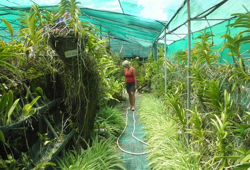 צימר P'ti Case D'éléna