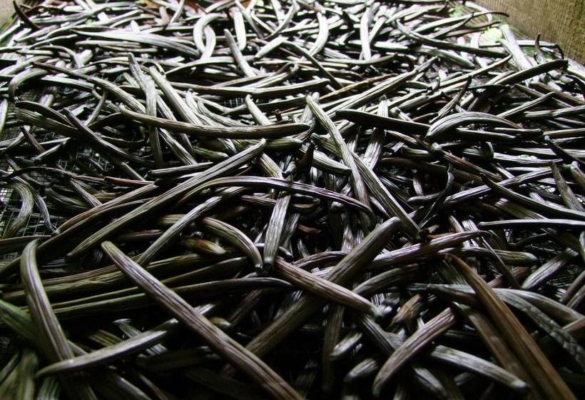 צימר P'ti Case D'éléna