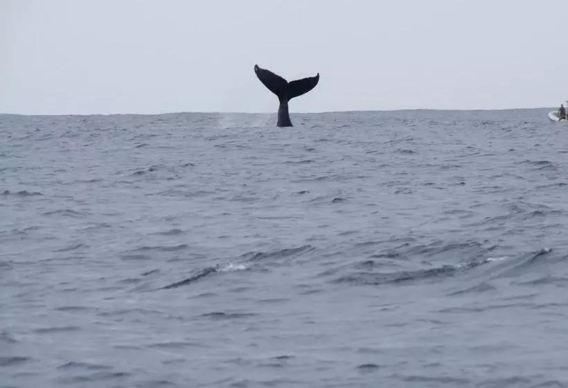 تختخواب و صبحانه P'ti Case D'éléna