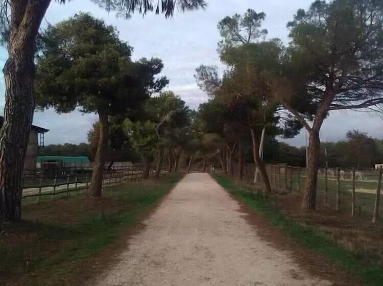 Hotelli Relais La Roccaccia Universita  Agraria