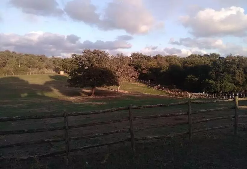 Hotelli Relais La Roccaccia Universita  Agraria