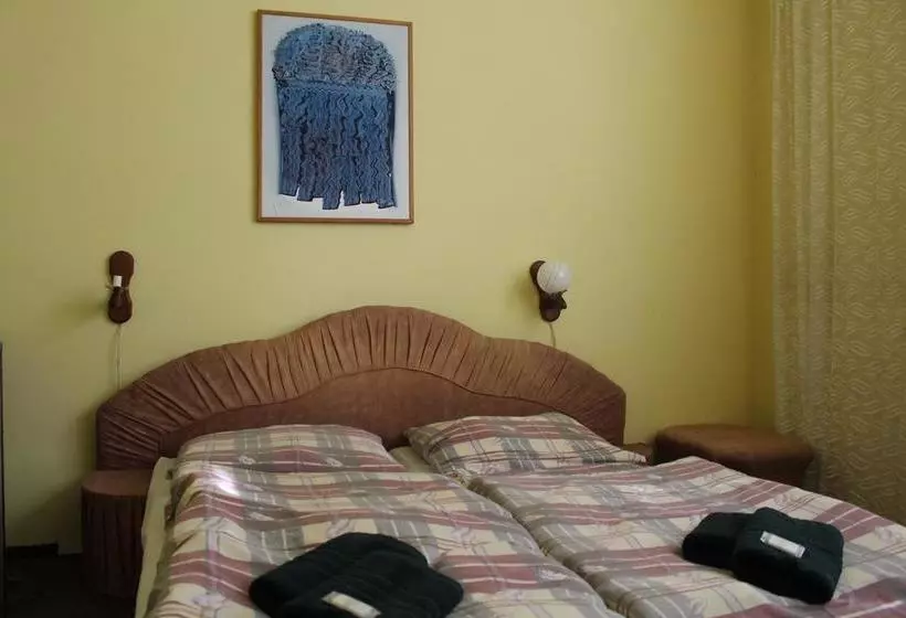 Hotelli černý Kůň