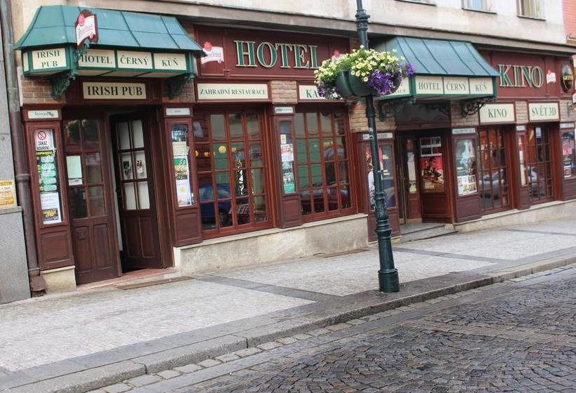 酒店 černý Kůň