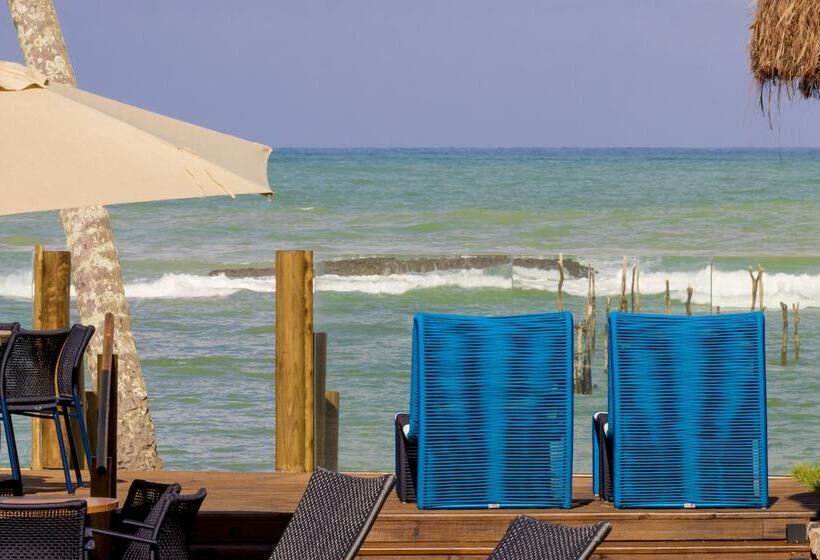 هتل Flor De Lis Exclusive