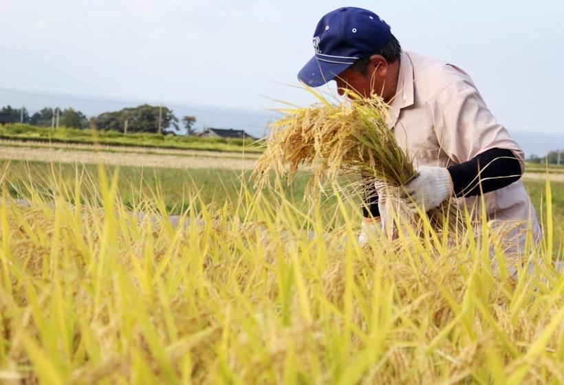 ריוקאן Jugetsukan <sadoshima>