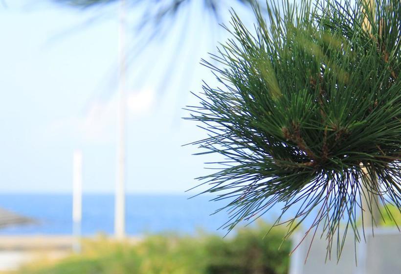 ריוקאן Jugetsukan <sadoshima>