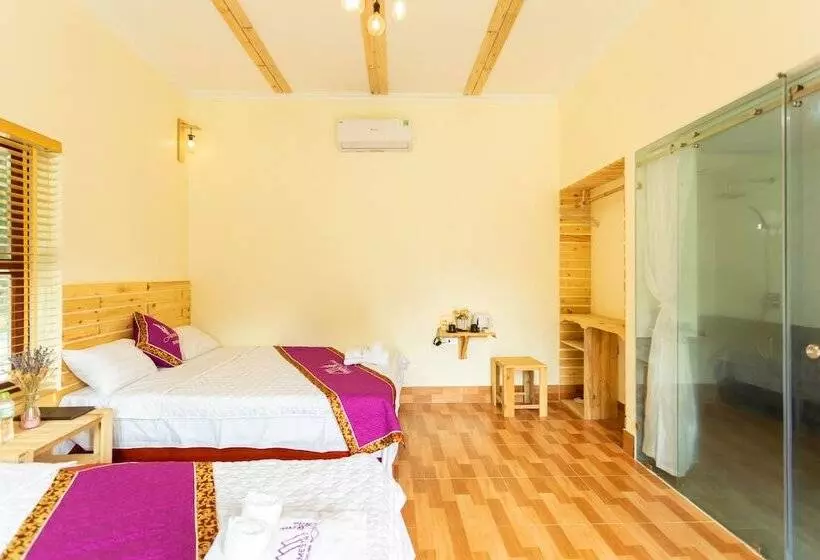 هتل Tam Coc Lavender Homestay