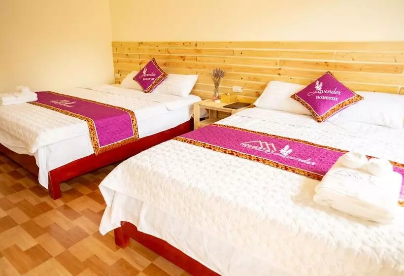 هتل Tam Coc Lavender Homestay