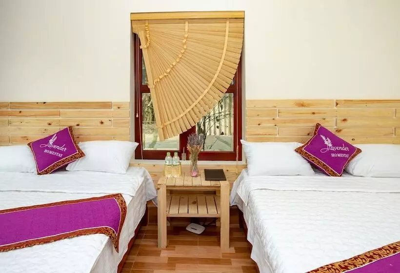 هتل Tam Coc Lavender Homestay