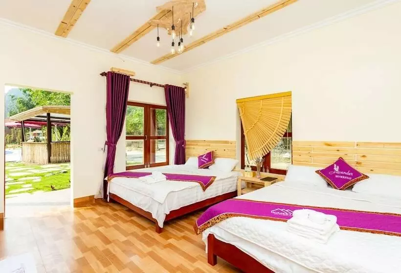 هتل Tam Coc Lavender Homestay