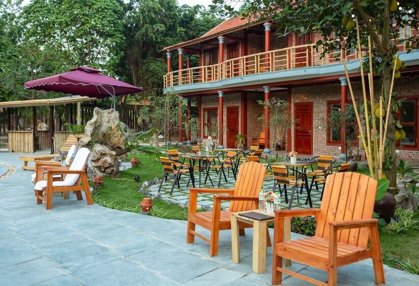 هتل Tam Coc Lavender Homestay