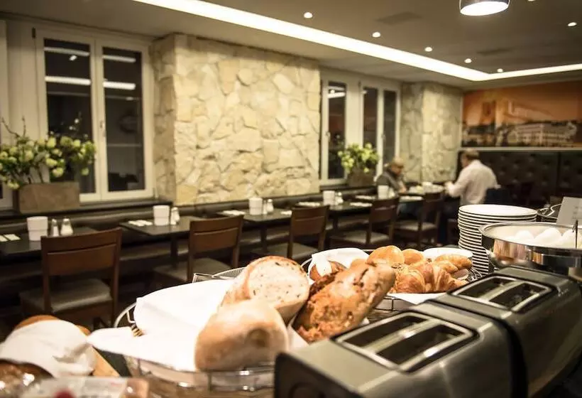 پانسیون Alexander Guesthouse Zurich Old Town